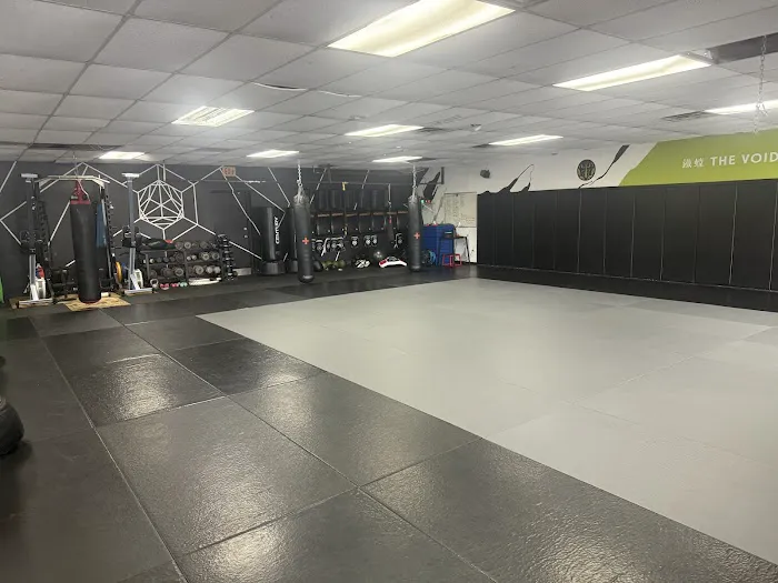 The Void Martial Arts Picture 6