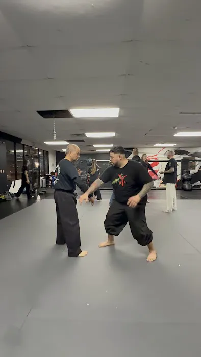 The Void Martial Arts Picture 5