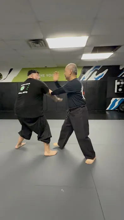 The Void Martial Arts Picture 2