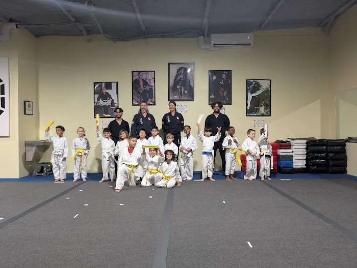 South Austin Kung Fu & Tai Chi 少林 Picture 1