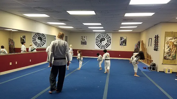 South Austin Kung Fu & Tai Chi 少林 Picture 5