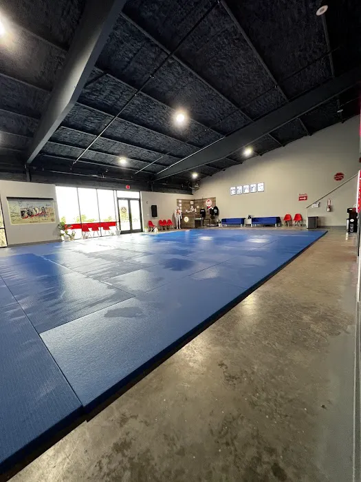 Gracie Barra Buda Picture 4