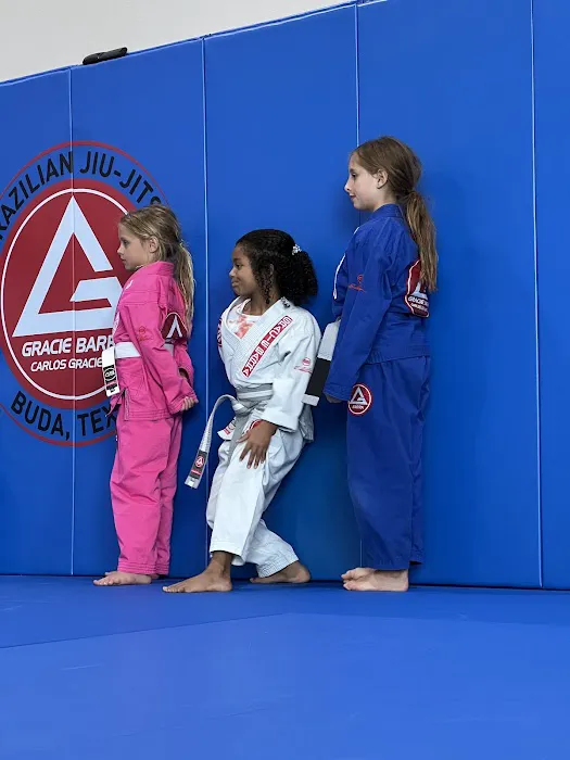 Gracie Barra Buda Picture 8
