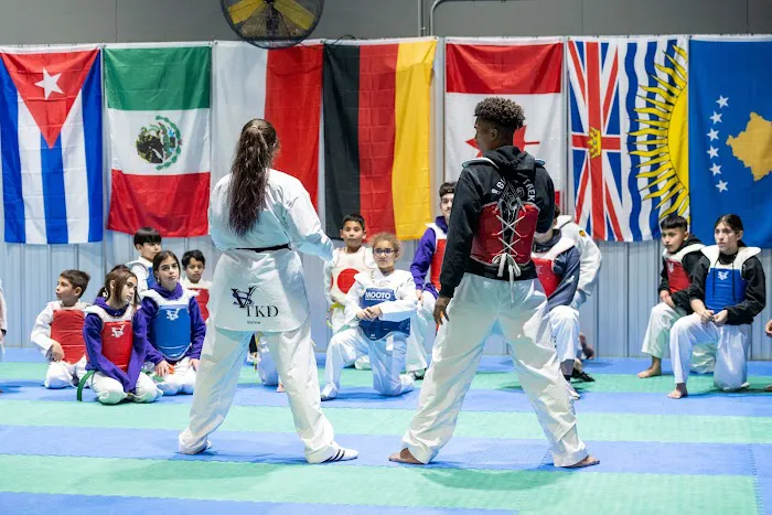 SVega Taekwondo, Jiu-jitsu and Training Center Picture 5