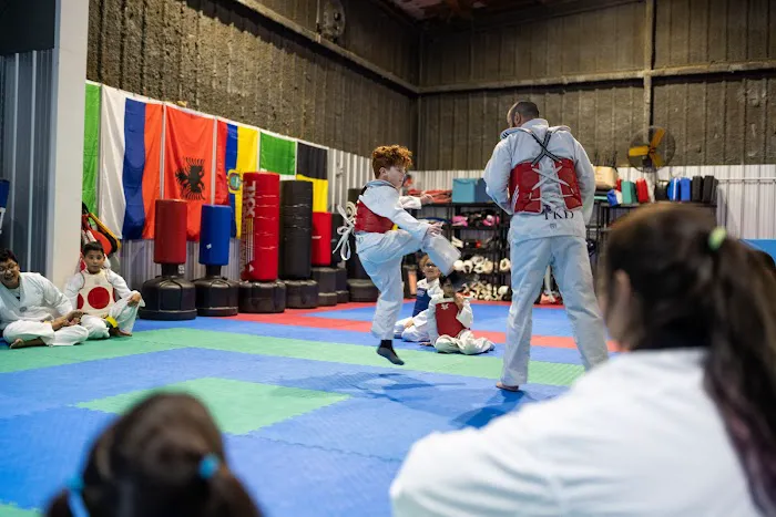 SVega Taekwondo, Jiu-jitsu and Training Center Picture 3