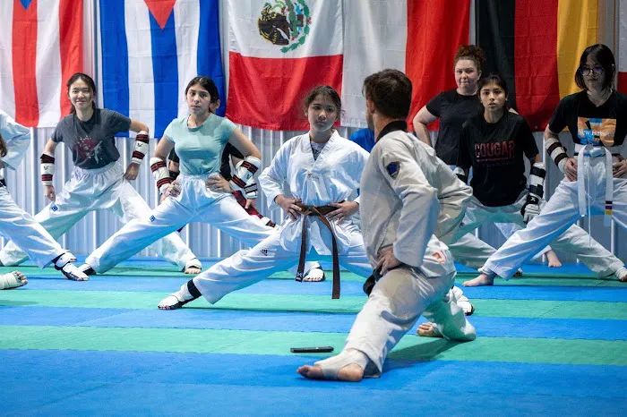SVega Taekwondo, Jiu-jitsu and Training Center Picture 2