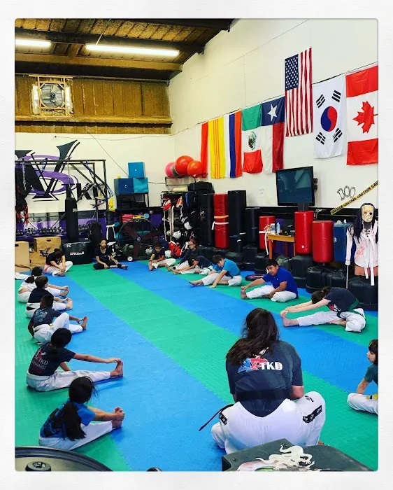 SVega Taekwondo, Jiu-jitsu and Training Center Picture 8