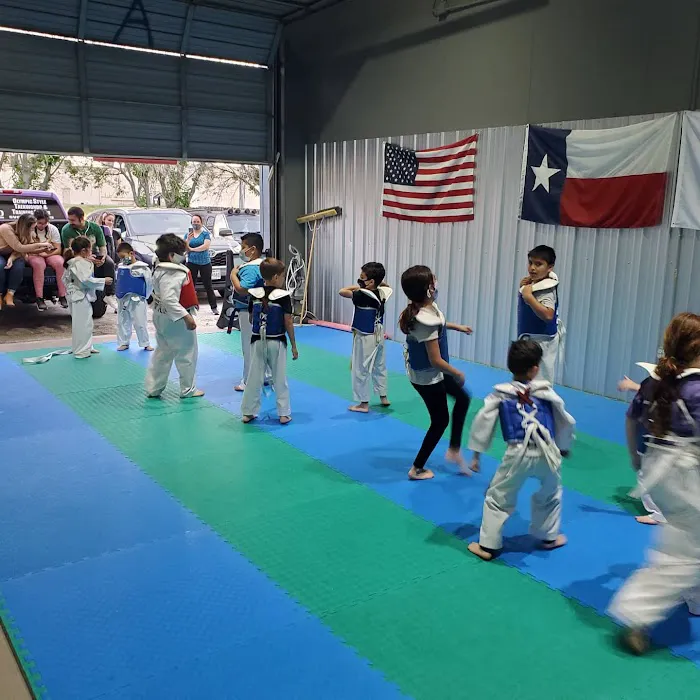 SVega Taekwondo, Jiu-jitsu and Training Center Picture 10