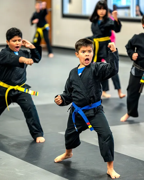 Rise Martial Arts Picture 4