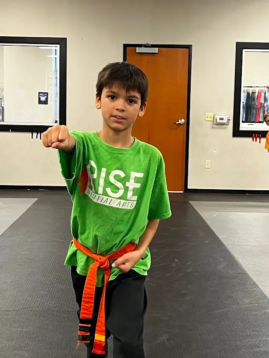 Rise Martial Arts Picture 3