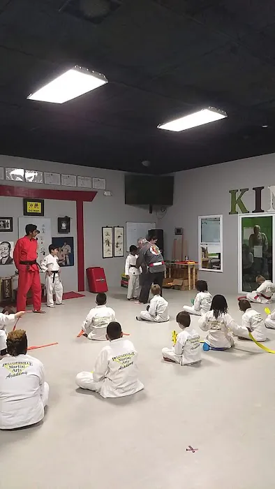 Pflugerville Martial Arts Academy Picture 1
