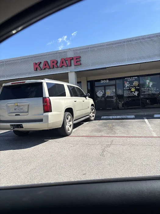 Pflugerville Martial Arts Academy Picture 3