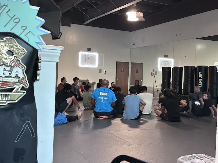 Aces Jiu Jitsu Club Picture 2