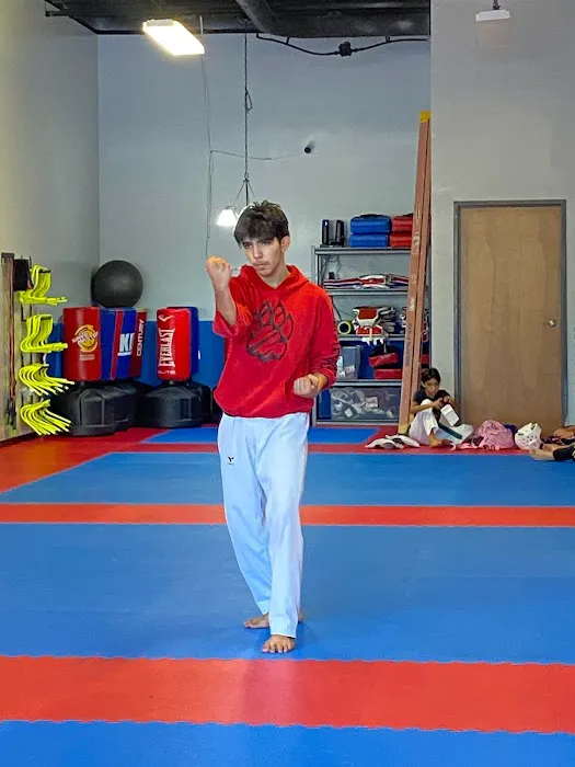 Noel’s WhiteTigers Taekwondo Picture 2