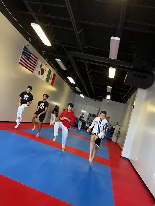 Noel’s WhiteTigers Taekwondo Picture 3