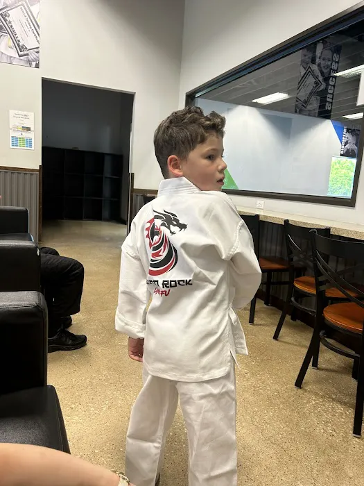 Round Rock Shaolin Do Kung Fu Picture 1