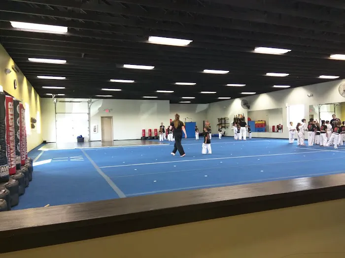 Round Rock Shaolin Do Kung Fu Picture 4