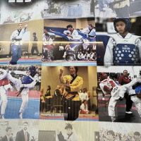 Tiger Jung's Martial Arts ico