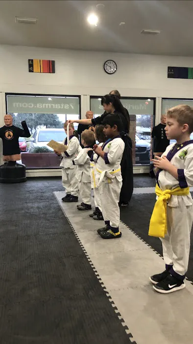 Seven Star Martial Arts Picture 5