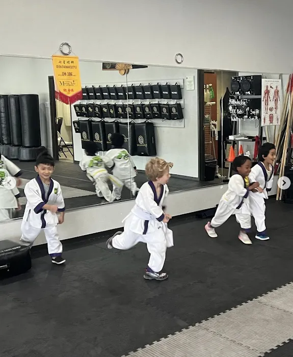 Seven Star Martial Arts Picture 10