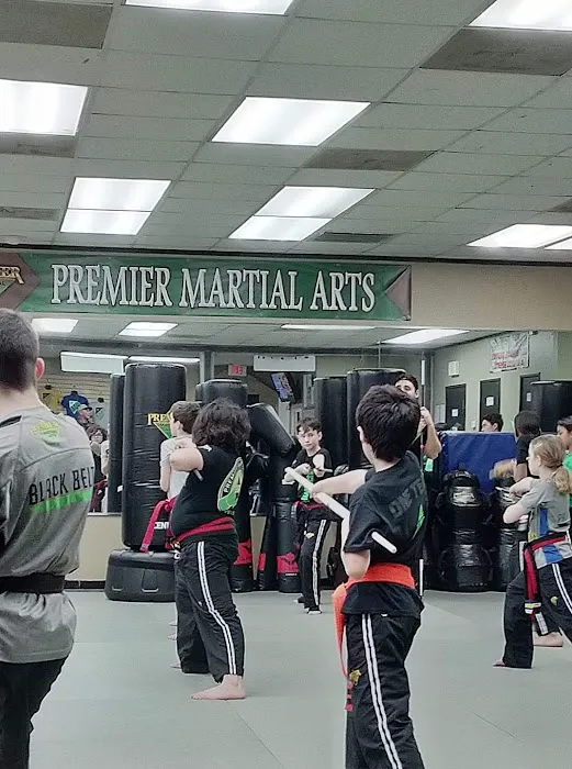 Premier Martial Arts Round Rock Picture 6