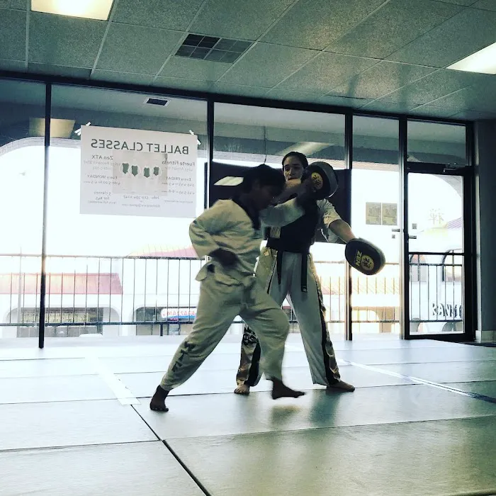Zen Martial Arts ATX Picture 10