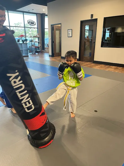 Invictus Martial Arts Picture 3