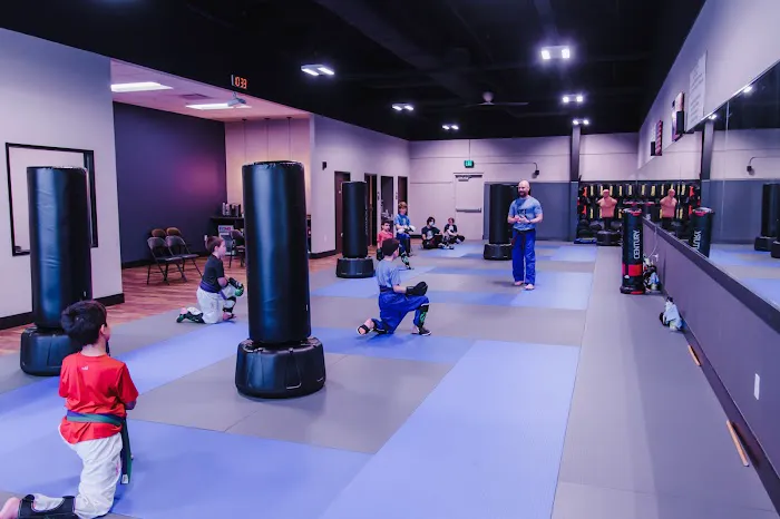 Invictus Martial Arts Picture 1