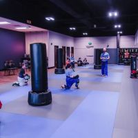 Invictus Martial Arts ico