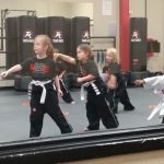 Tiger-Rock Martial Arts of North Austin