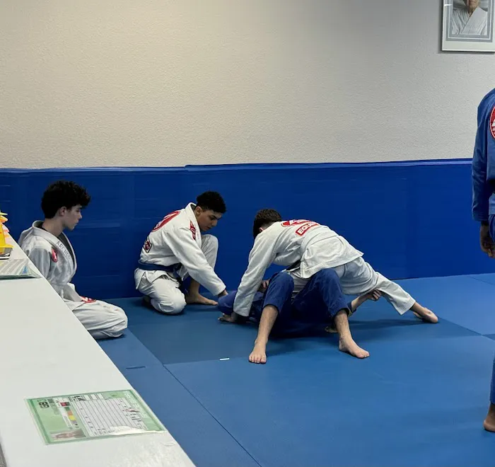 Gracie Barra Cedar Park Brazilian Jiu Jitsu & Self Defense Picture 1
