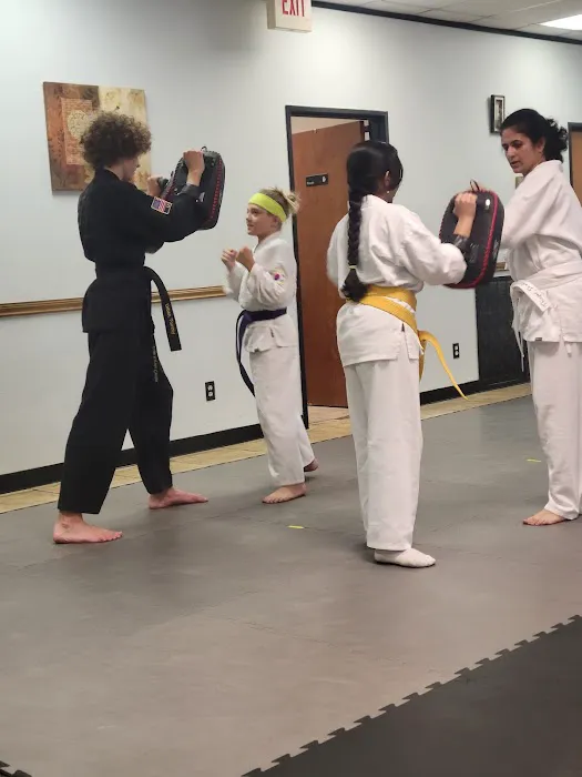 Culin Karate Center of Cedar Park Picture 2