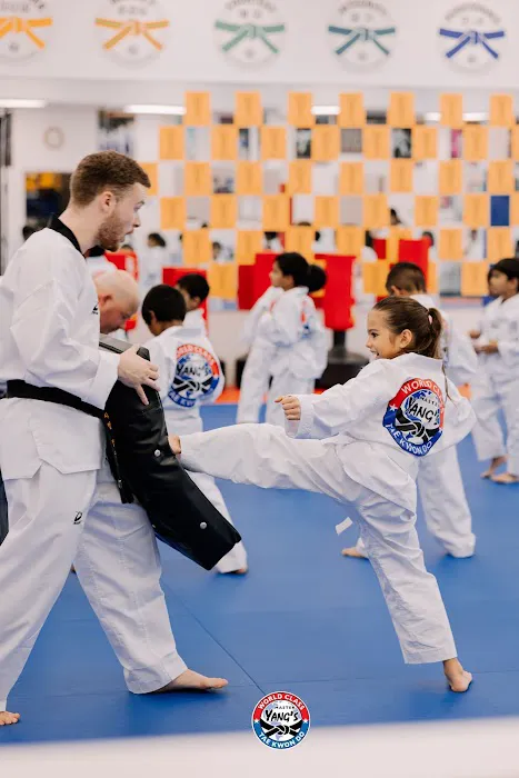 Master Yang's World Class Tae Kwon Do Picture 3