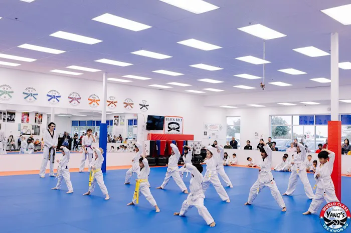 Master Yang's World Class Tae Kwon Do Picture 9