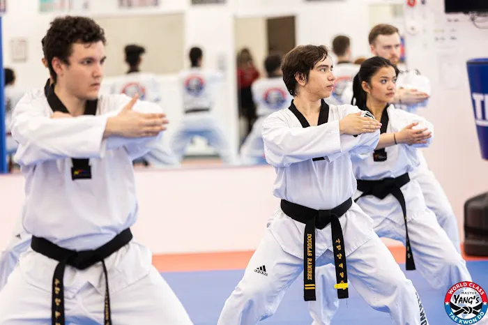 Master Yang's World Class Tae Kwon Do Picture 10