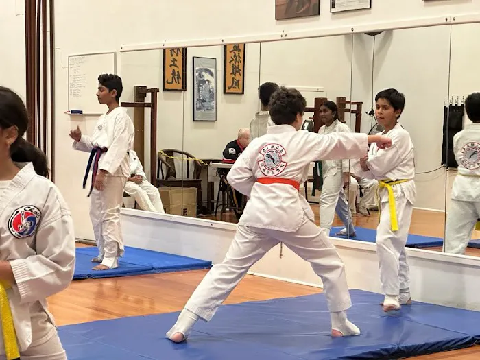 Magnum Force TKD Picture 4
