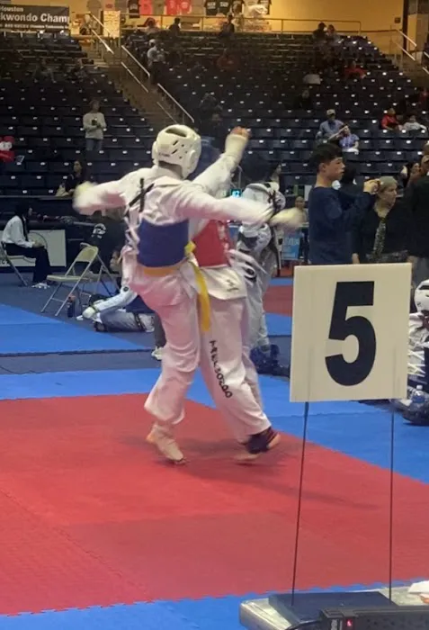 Magnum Force TKD Picture 1