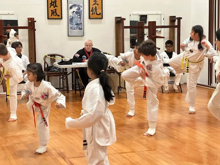 Magnum Force TKD Picture 2