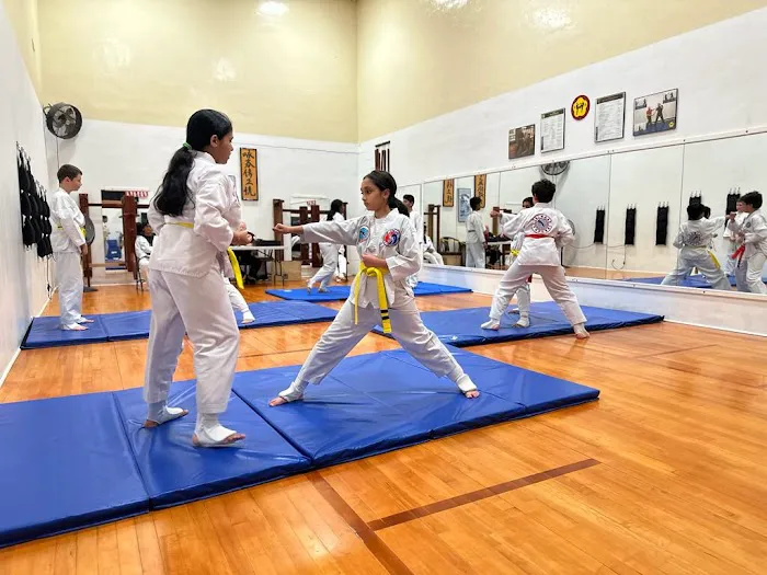 Magnum Force TKD Picture 3