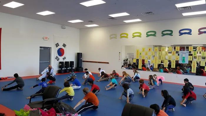 Master Yang's World Class Tae Kwon Do Picture 7