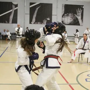 Texas Academy of Martial Arts Picture 4