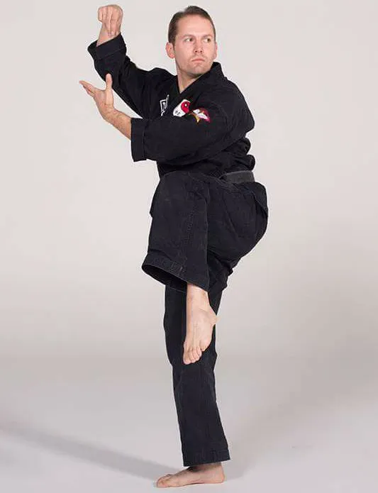 Shaolin Martial Arts Picture 2