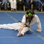 Shaolin Martial Arts