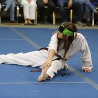 Shaolin Martial Arts ico