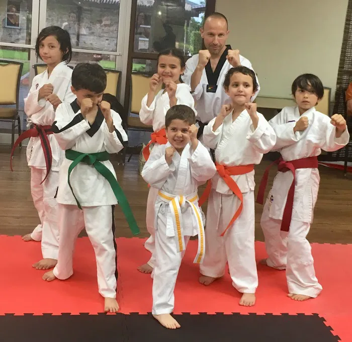 Texas Traditional Taekwondo Picture 2