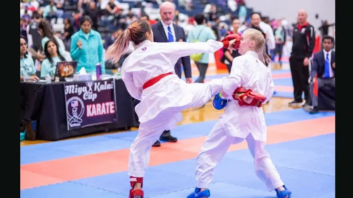 Texas Traditional Taekwondo Picture 5