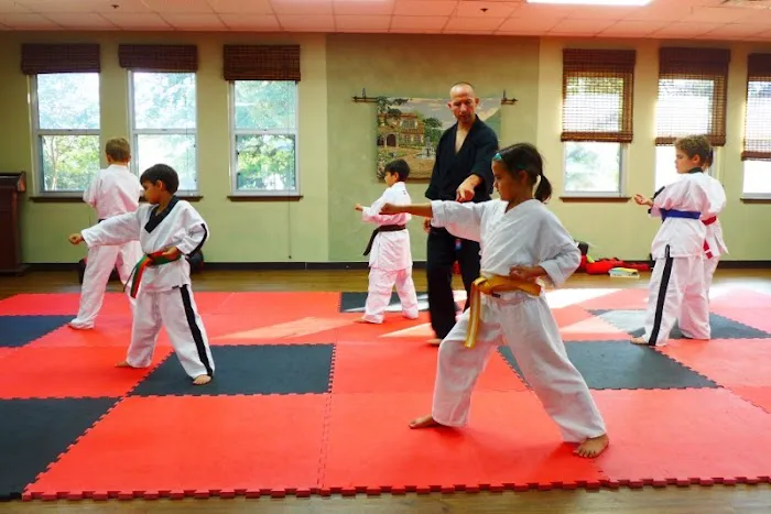 Texas Traditional Taekwondo Picture 4