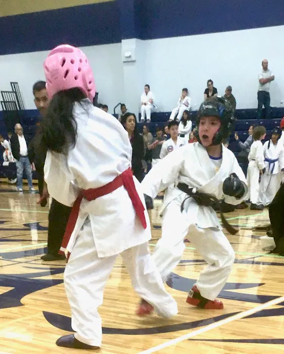Texas Traditional Taekwondo Picture 7