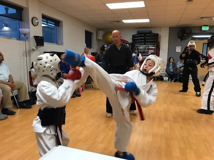Texas Traditional Taekwondo Picture 3
