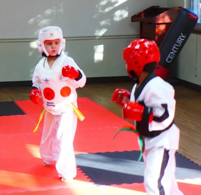 Texas Traditional Taekwondo Picture 6